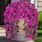 Artificial Fake Hanging Flowers Plants for Outdoor Summer Decoration,2 PCS Faux Silk Fuchsia Orchid Long Vines Stems Bouquet UV Resistant for Wall Home Porch Patio Outside(Violet)